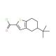 5-tert-butyl-4,5,6,7-tetrahydro-1-benzothiophene-2-carbonyl chloride - chemical structure image