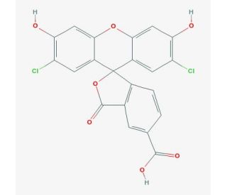 5(6)-Carboxy-2&prime;,7&prime;-dichlorofluorescein (CAS 111843-78-8) - chemical structure image