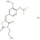 (5E)-3-(2-aminoethyl)-5-[4-(difluoromethoxy)-3-methoxybenzylidene]-1,3-thiazolidine-2,4-dione hydrochloride - chemical struct