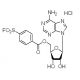 5′-(4-Fluorosulfonylbenzoyl)adenosine hydrochloride (CAS 78859-42-4) - chemical structure image