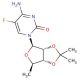 Estructura molecular de 5'-Deoxy-5-fluoro-2',3'-O-isopropylidenecytidine, Número CAS: 66335-37-3 5′-Deoxy-5-fluoro-2′,3′-O-isopropylidenecytidine (CAS 66335-37-3) - chemical structure image