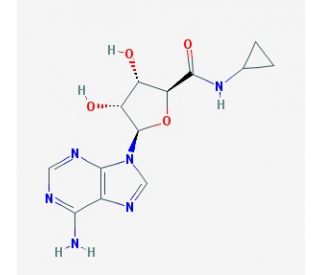 5&prime;-(N-Cyclopropyl)carboxamidoadenosine (CAS 50908-62-8) - chemical structure image