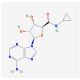 5′-(N-Cyclopropyl)carboxamidoadenosine (CAS 50908-62-8) - chemical structure image