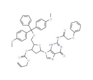 5&prime;-O-(4,4&prime;-Dimethoxytrityl)-N6-phenoxyacetyl-2&prime;-deoxyadenosine-3&prime;-O-succinic acid (CAS 130150-81-1) - chemical structure imag