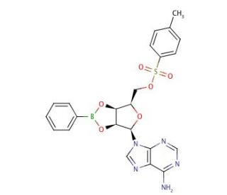 5&prime;-Tosyladenosine-2&prime;,3&prime;-O-phenylboronate (CAS 23312-76-7) - chemical structure image