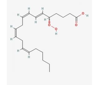 5(S)-HPETE (CAS 71774-08-8) - chemical structure image