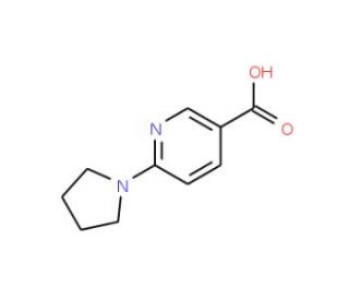 6-(1-Pyrrolidinyl)nicotinic acid (CAS 210963-95-4) - chemical structure image