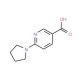 6-(1-Pyrrolidinyl)nicotinic acid (CAS 210963-95-4) - chemical structure image