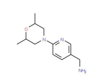 [6-(2,6-dimethylmorpholin-4-yl)pyridin-3-yl]methylamine - chemical structure image