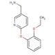 [6-(2-ethoxyphenoxy)pyridin-3-yl]methanamine - chemical structure image