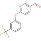 6-[3-(Trifluoromethyl)phenoxy]nicotinaldehyde (CAS 338967-16-1) - chemical structure image
