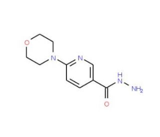 6-(4-Morpholino)nicotinohydrazide (CAS 388088-71-9) - chemical structure image