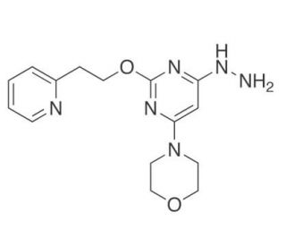 6-(4-Morpholinyl)-2-[2-(2-pyridinyl)ethoxy]-4(1H)-pyrimidinone Hydrazone (CAS 719285-83-3) - chemical structure image