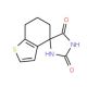 6,7-dihydro-2′H,5H,5′H-spiro[1-benzothiophene-4,4′-imidazolidine]-2′,5′-dione (CAS 69300-50-1) - chemical structure image