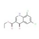 6,8-Dichloro-4-hydroxyquinoline-3-carboxylic acid ethyl ester (CAS 25771-89-5) - chemical structure image