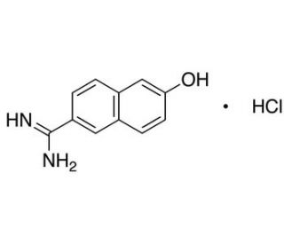 6-Amidino-2-naphthol Hydrochloride (CAS 66217-10-5) - chemical structure image