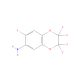 6-Amino-2,2,3,3,7-pentafluoro-1,4-benzodioxane (CAS 120934-05-6) - chemical structure image