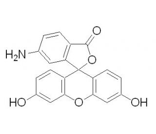 6-Aminofluorescein (CAS 51649-83-3) - chemical structure image