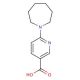 6-azepan-1-ylnicotinic acid - chemical structure image