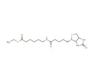 6-(Biotinylamino)thiocaproic Acid, S-Ethyl Ester (CAS 353754-94-6) - chemical structure image