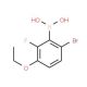 6-Bromo-3-ethoxy-2-fluorobenzeneboronic acid (CAS 871126-14-6) - chemical structure image