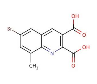 6-Bromo-8-methylquinoline-2,3-dicarboxylic acid (CAS 1189106-31-7) - chemical structure image