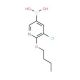 6-Butoxy-5-chloropyridine-3-boronic acid (CAS 1150114-71-8) - chemical structure image