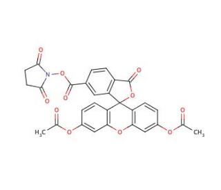 6-Carboxy-fluorescein diacetate N-succinimidyl ester (CAS 150206-15-8) - chemical structure image