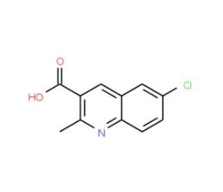 6-Chloro-2-methylquinoline-3-carboxylic acid (CAS 92513-40-1) - chemical structure image