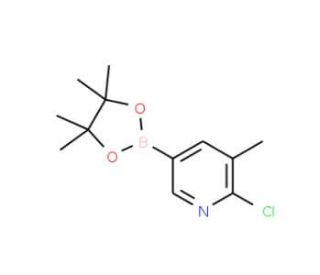 6-Chloro-5-methylpyridine-3-boronic acid pinacol ester (CAS 1010101-07-1) - chemical structure image