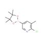 6-Chloro-5-methylpyridine-3-boronic acid pinacol ester (CAS 1010101-07-1) - chemical structure image