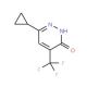 6-cyclopropyl-4-(trifluoromethyl)-2,3-dihydropyridazin-3-one - chemical structure image