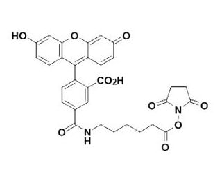 6-(Fluorescein-5-carboxamido)hexanoic acid succinimidyl ester (CAS 148356-00-7) - chemical structure image