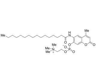 6-Hexadecanoylamino-4-methylumbelliferyl Phosphorylcholine (CAS 904315-61-3) - chemical structure image