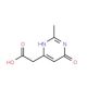 (6-Hydroxy-2-methyl-pyrimidin-4-yl)-acetic acid - chemical structure image