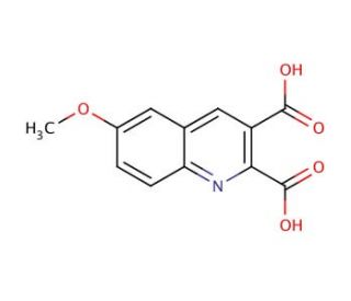 6-Methoxyquinoline-2,3-dicarboxylic acid (CAS 92513-52-5) - chemical structure image