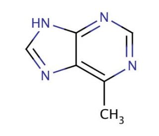 6-Methylpurine (CAS 2004-03-7) - chemical structure image