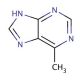 6-Methylpurine (CAS 2004-03-7) - chemical structure image