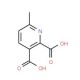 6-Methylpyridine-2,3-dicarboxylic acid (CAS 53636-70-7) - chemical structure image
