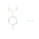 6-Methylpyridine-3-boronic acid hydrochloride (CAS 2096333-73-0) - chemical structure image