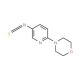 6-(Morpholin-4-yl)pyridin-3-yl isothiocyanate (CAS 52024-29-0) - chemical structure image