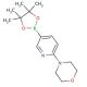 6-(Morpholin-4-yl)pyridine-3-boronic acid pinacol ester (CAS 485799-04-0) - chemical structure image