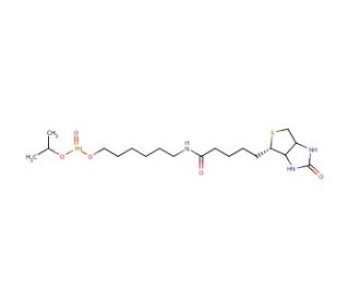 6-N-Biotinylaminohexyl Isopropyl Hydrogenphosphonate (CAS 224583-37-3) - chemical structure image