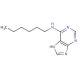 6-n-Hexylaminopurine (CAS 14333-96-1) - chemical structure image