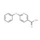 6-phenoxypyridine-3-carboxylic acid (CAS 51362-38-0) - chemical structure image