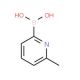 6-Picoline-2-boronic acid (CAS 372963-50-3) - chemical structure image