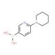 6-(Piperidin-1-yl)pyridine-3-boronic acid (CAS 1002129-33-0) - chemical structure image