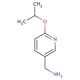 [6-(propan-2-yloxy)pyridin-3-yl]methanamine - chemical structure image