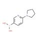 6-(Pyrrolidin-1-yl)pyridine-3-boronic acid (CAS 1150114-75-2) - chemical structure image