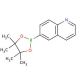 6-Quinolineboronic acid pinacol ester (CAS 406463-06-7) - chemical structure image